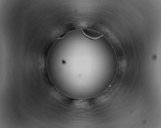 X0000103490331200809121720