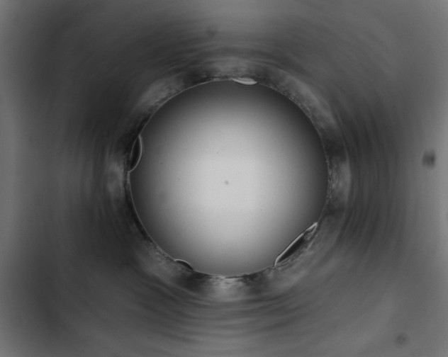 X0000103490333200809121720