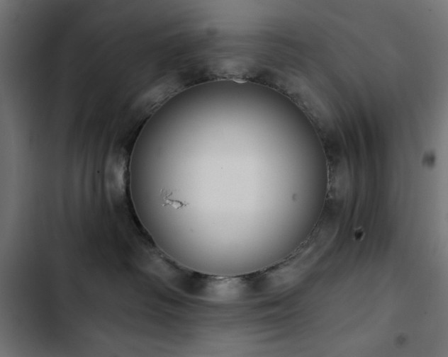 X0000103490334200809121720