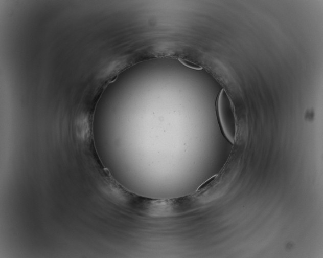 X0000103490335200809121720