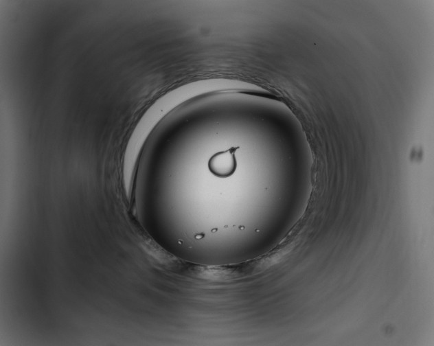 X0000103490336200809121720