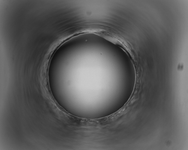 X0000103490337200809121720