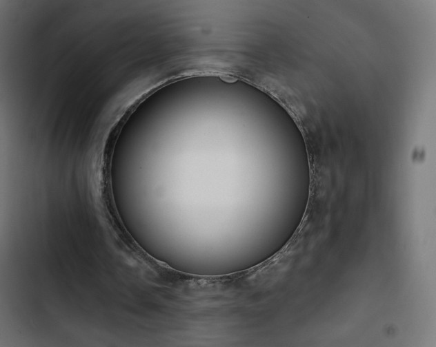 X0000103490338200809121720