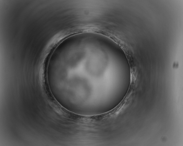 X0000103490339200809121720