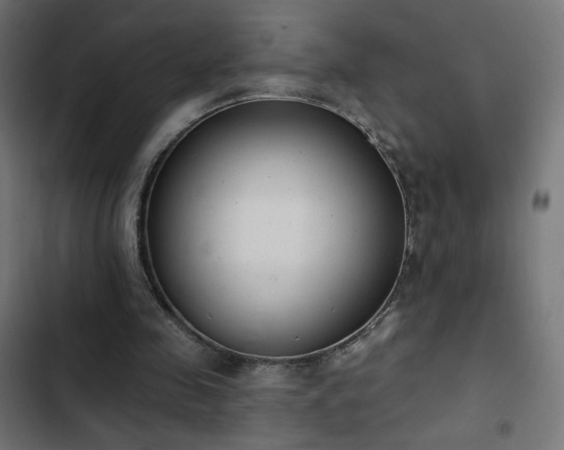 X0000103490341200809121720