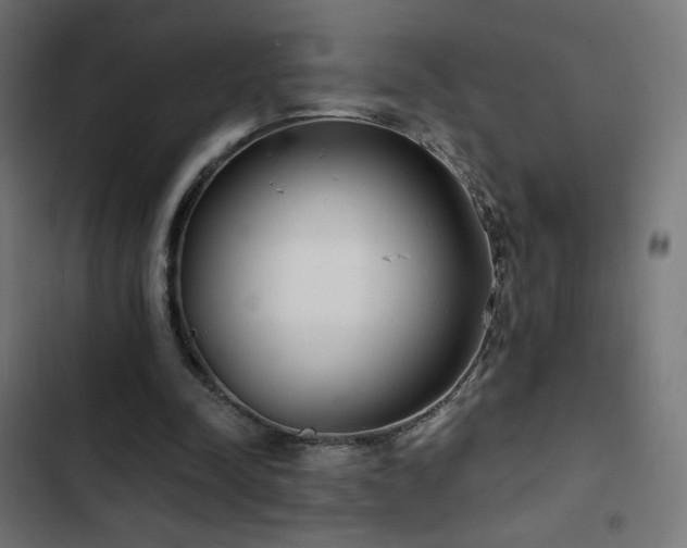 X0000103490342200809121720