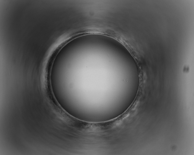 X0000103490343200809121720