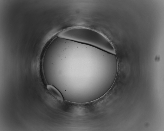 X0000103490344200809121720