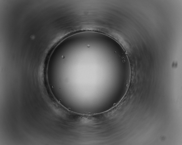 X0000103490346200809121720