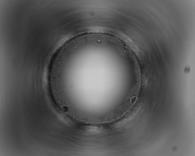 X0000103490347200809121720