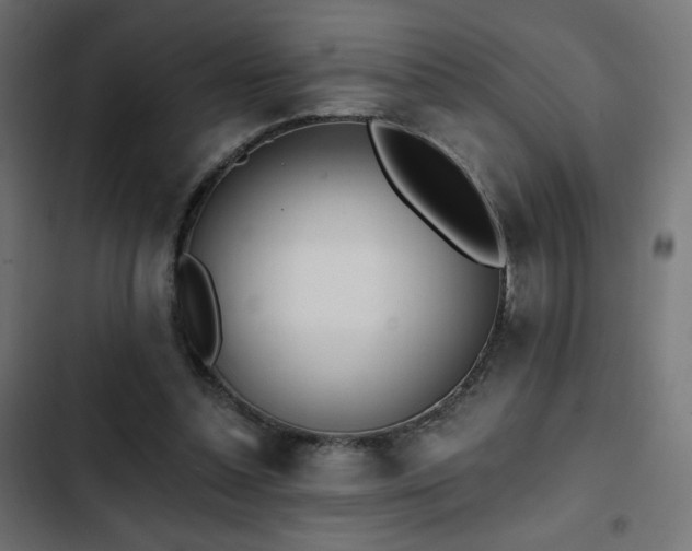 X0000103490348200809121720