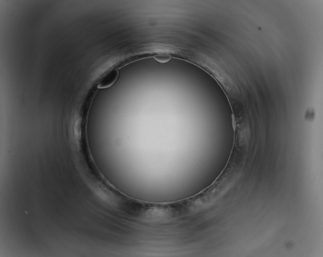 X0000103490350200809121720