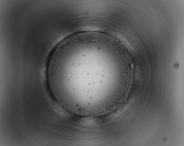 X0000103490351200809121720