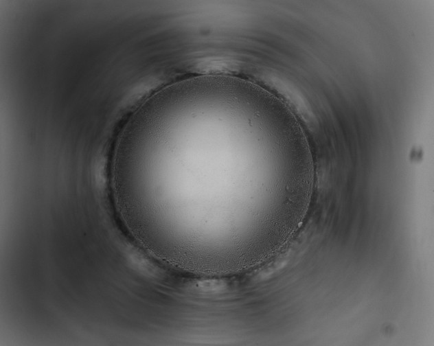 X0000103490353200809121720