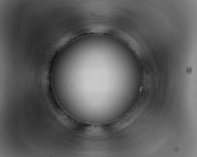 X0000103490354200809121720