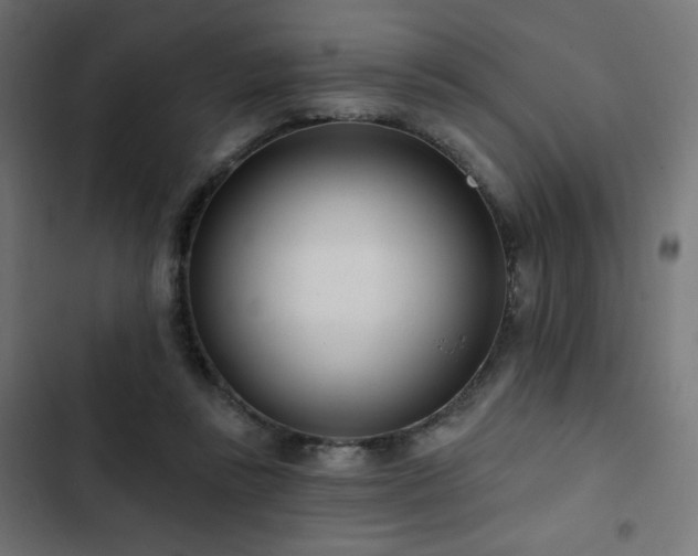 X0000103490355200809121720