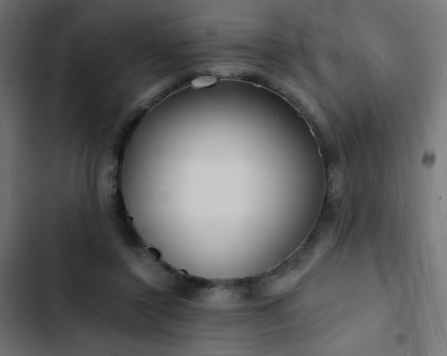 X0000103490356200809121720