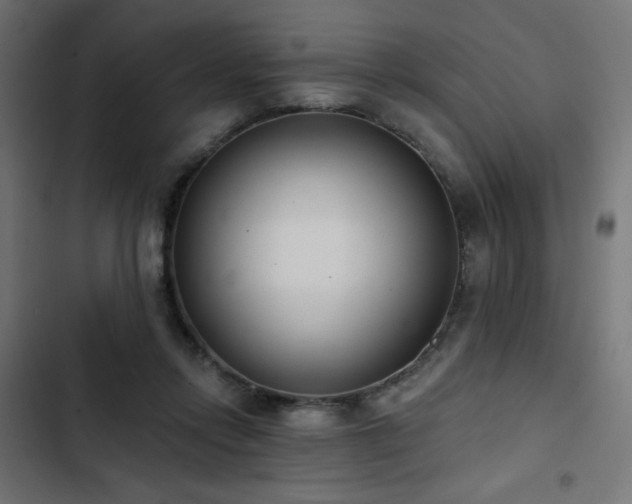 X0000103490358200809121720