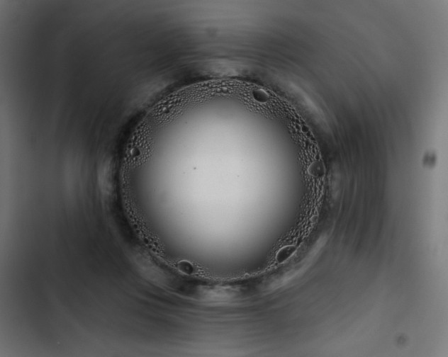 X0000103490359200809121720