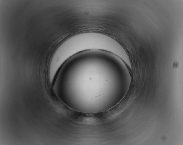 X0000103490360200809121720