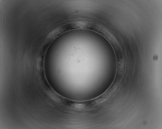 X0000103490361200809121720