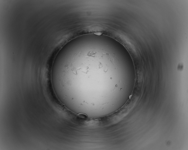 X0000103490362200809121720