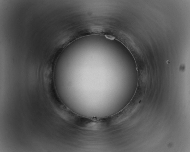 X0000103490364200809121720