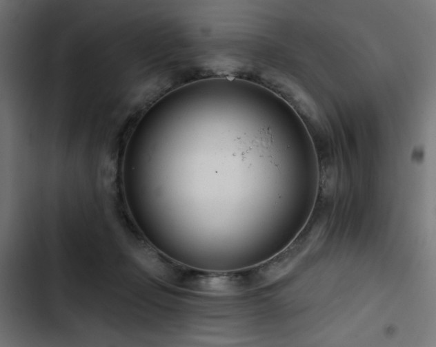 X0000103490365200809121720