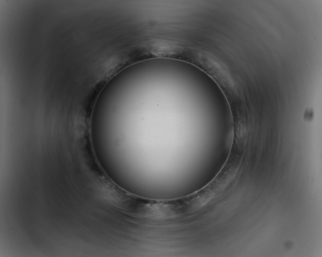 X0000103490367200809121720