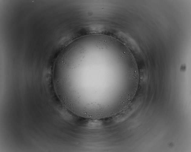 X0000103490369200809121720