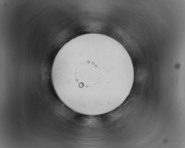 X0000103490370200809121720