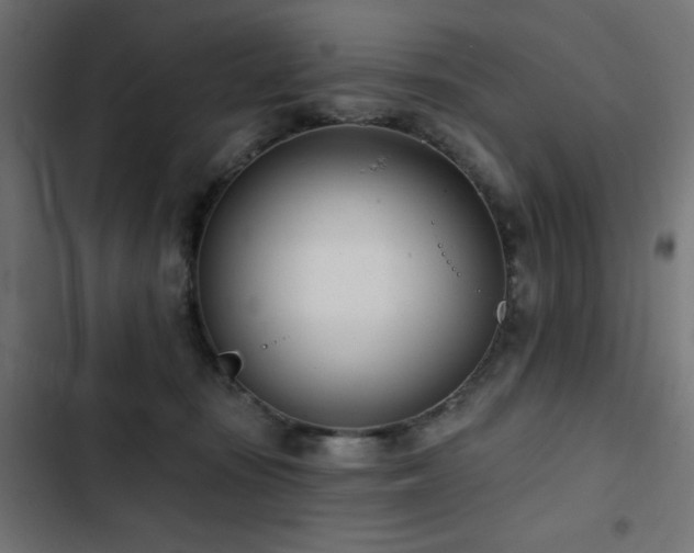 X0000103490371200809121720