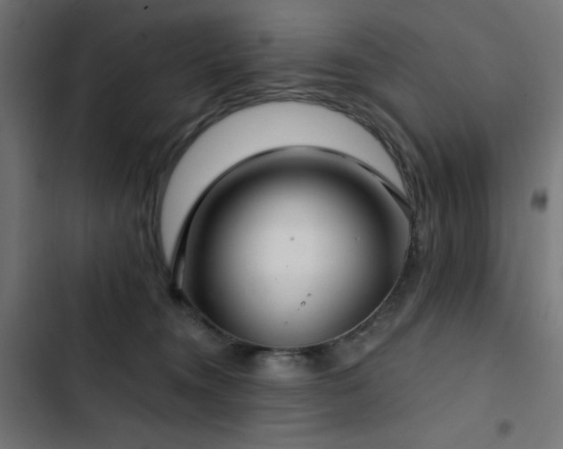 X0000103490372200809121720