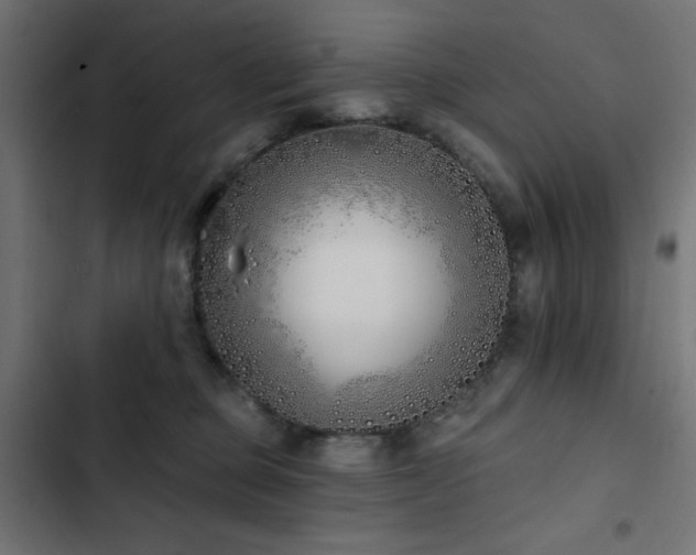 X0000103490373200809121720