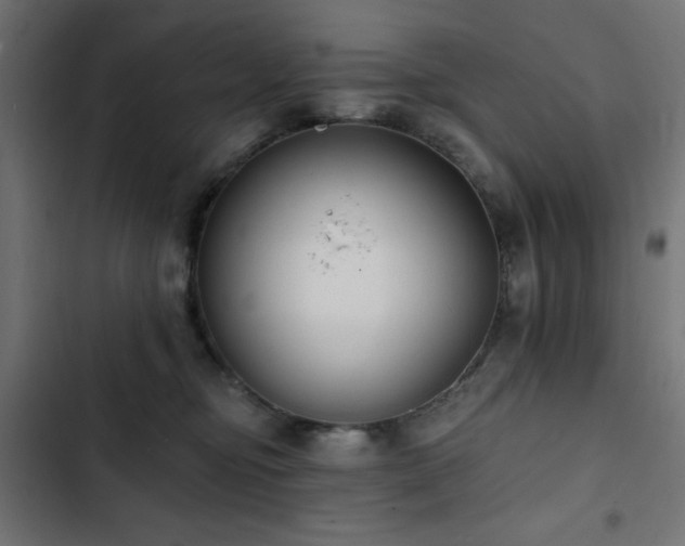 X0000103490374200809121720