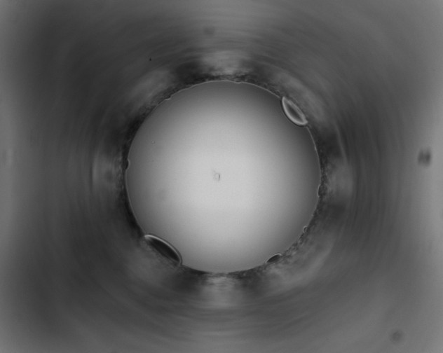 X0000103490376200809121720