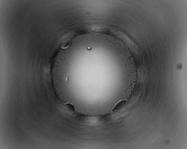 X0000103490377200809121720