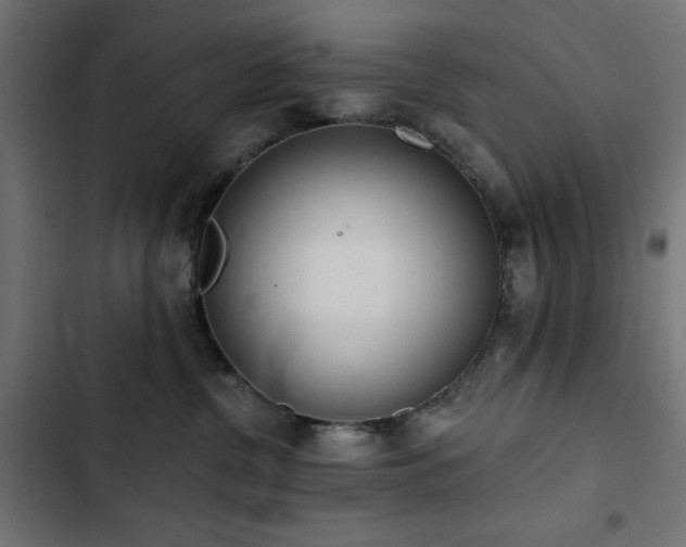 X0000103490380200809121720