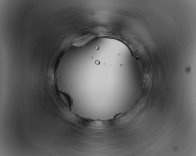 X0000103490381200809121720