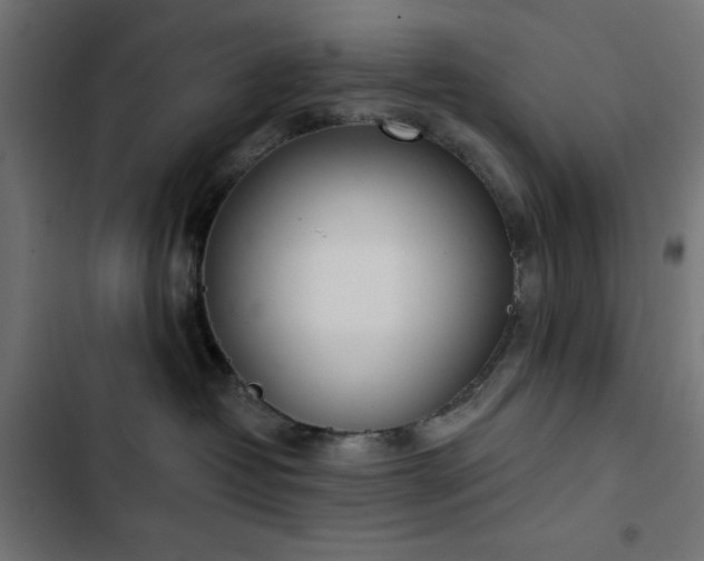 X0000103490382200809121720