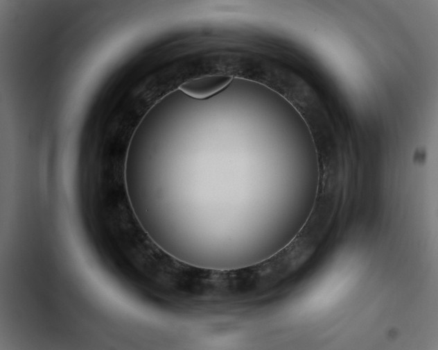 X0000103490383200809121720