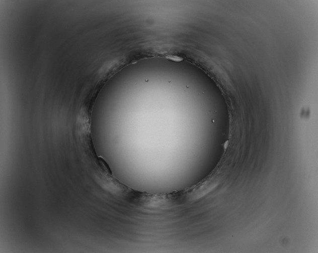 X0000103490384200809121720