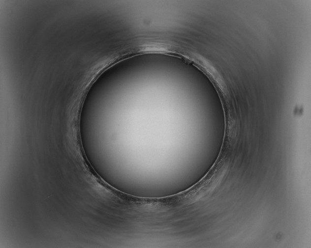 X0000103490385200809121720