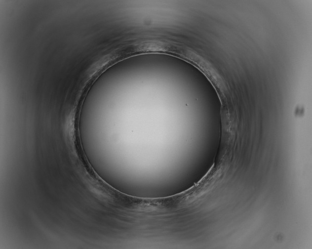 X0000103490386200809121720