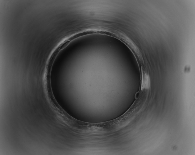 X0000103490387200809121720