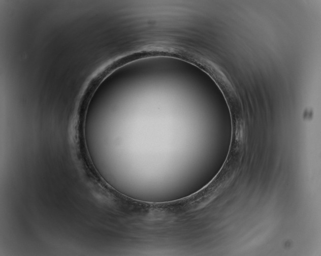 X0000103490388200809121720