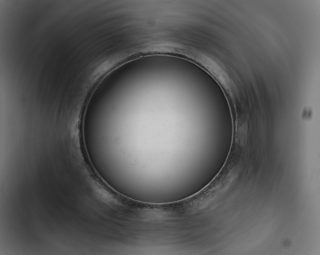 X0000103490389200809121720