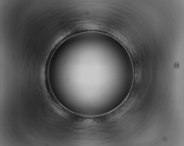 X0000103490390200809121720