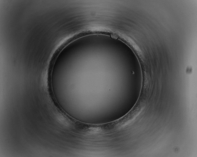 X0000103490391200809121720