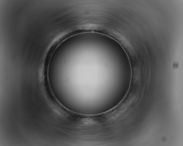 X0000103490392200809121720